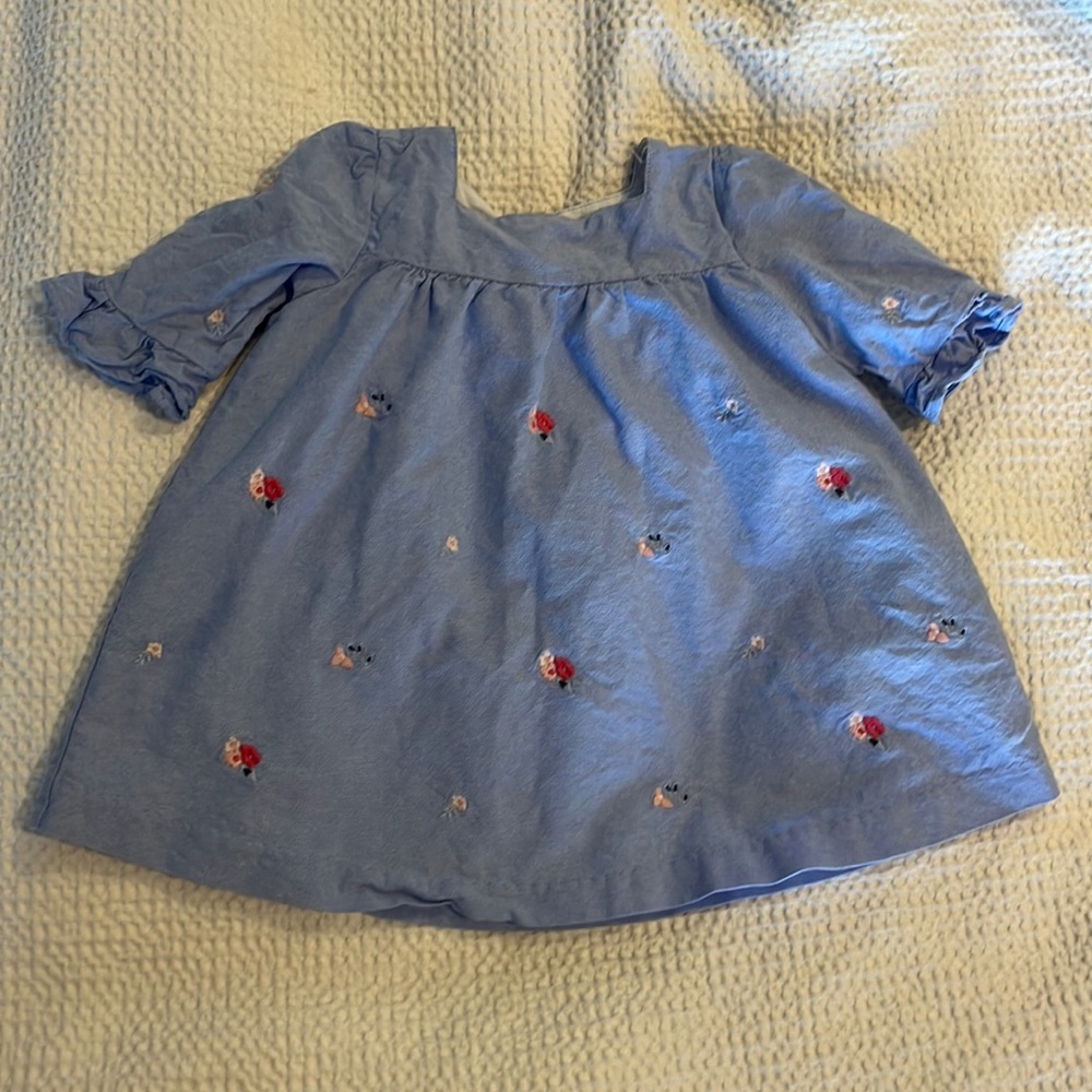 Janie and Jack Blue Chambray Floral Dress 3/4 sleeve
